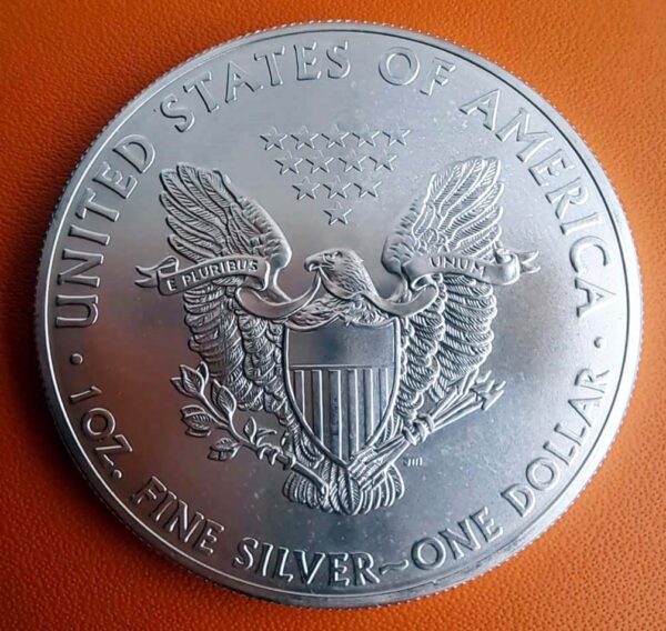 2013 American silver eagle coin 1oz